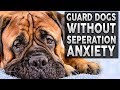 Top 10 GUARD DOG BREEDS For FULL TIME Workers!