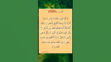 #القران_كريم 🌸#سورة #القمر #اكسبلور #استغفر_الله_واتوب_إليه_استغفر_الله_العظيم 🏵