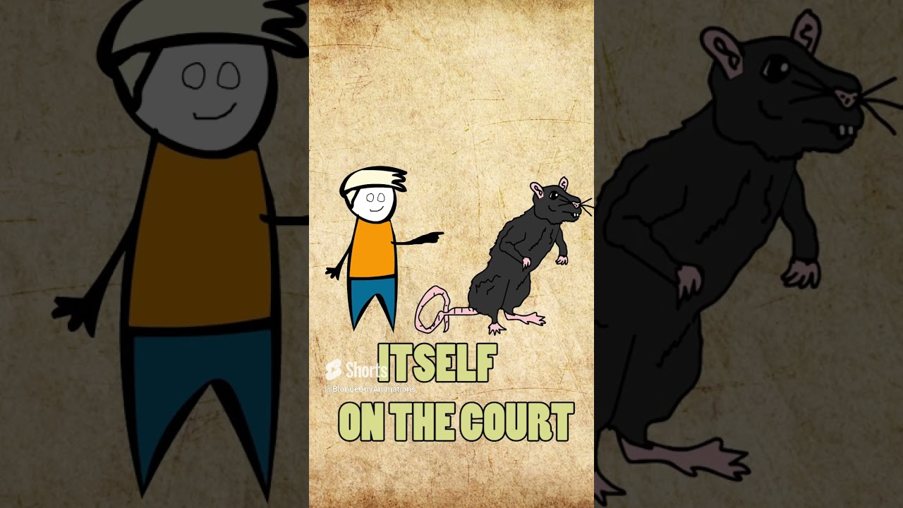 This rat was sentenced to death!  🐭💀