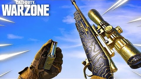 The ABSOLUTE BEST SPR-208 Class Setup for WARZONE! (Cold War Warzone)