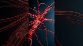 05 Protect Your Future #diabetes #neuropathy #footpain #burning #swelling #tinglingfeet #coldfeet