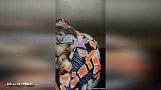 BIG BOOTY TWERK COMPILATION
