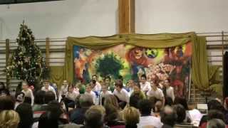 Karacsonyi unnepseg 20141218