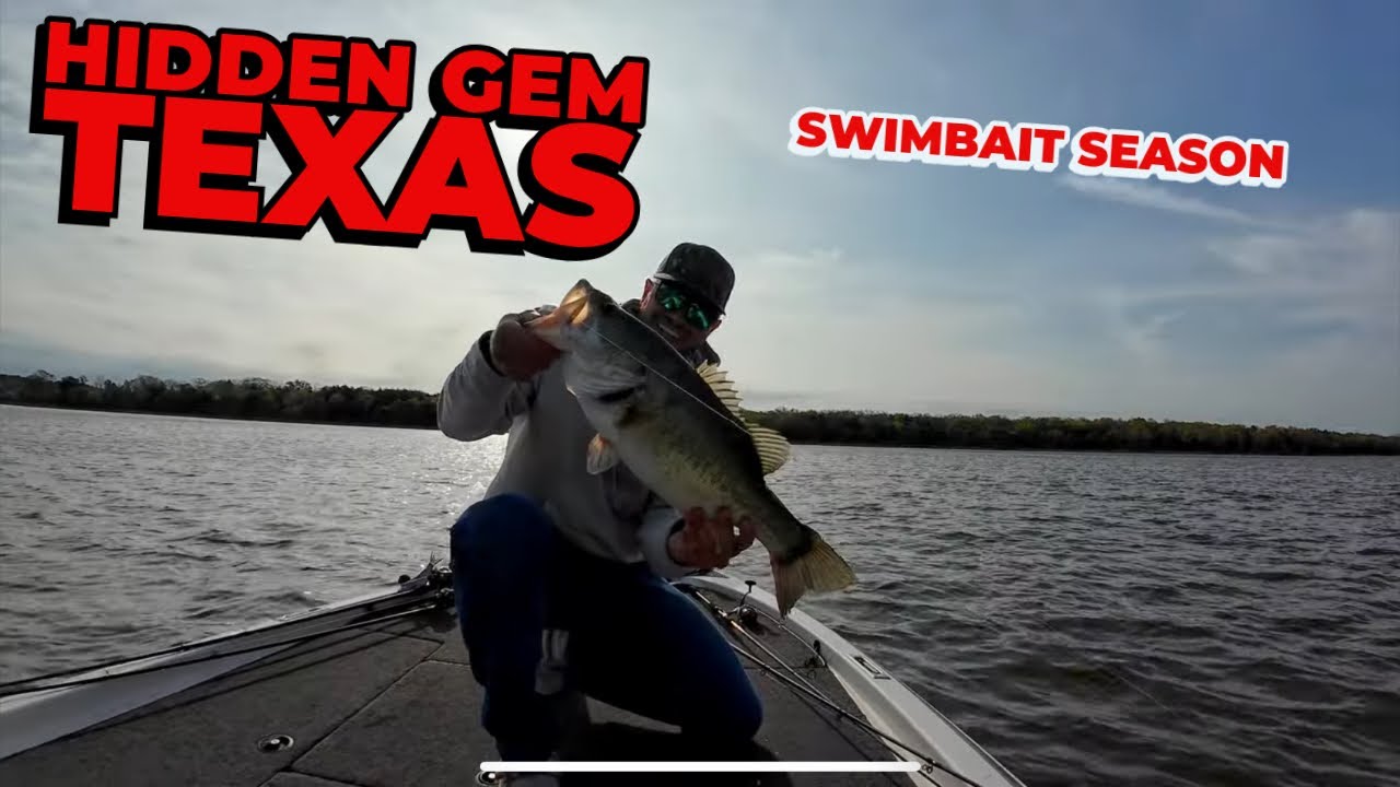 They just kept getting BIGGER… 5 Bass 23+ LBS  on this SWIMBAIT in TEXAS!