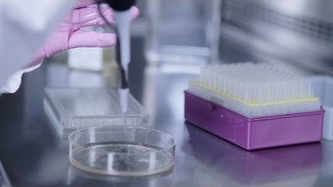 Semi-Solid Cloning of CHO Cells Using ClonaCell™-CHO Medium