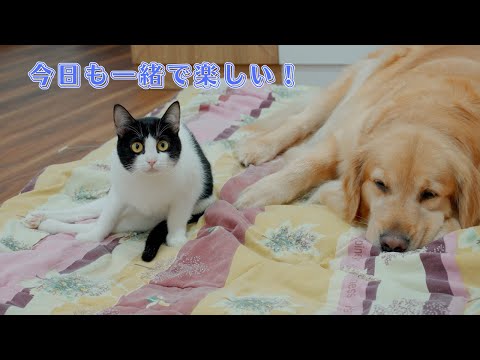 åŸãè¶³ããåããªããŠããæ¯æ¥ã¯ãããªã«æ¥œããïœä¿è·ç«ã»éšã¡ããã®1æ¥