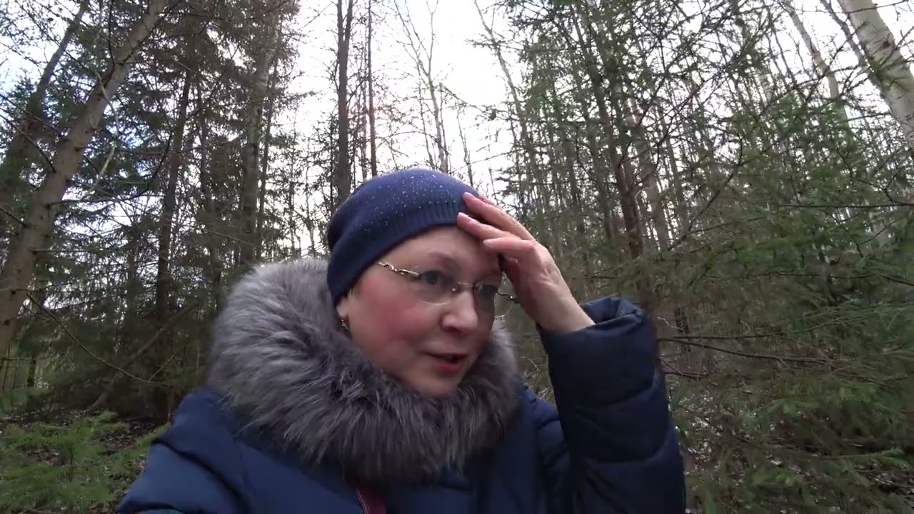 Собираем грибы в ноябре! В лес 12 ноября 2025, фламмулина.