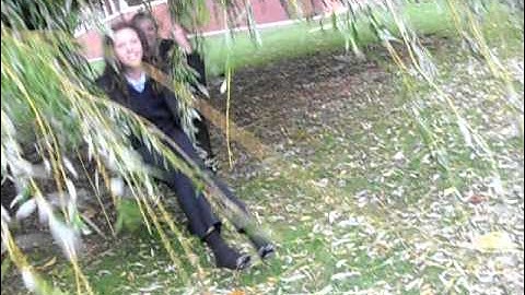 Willow tree swing!:)