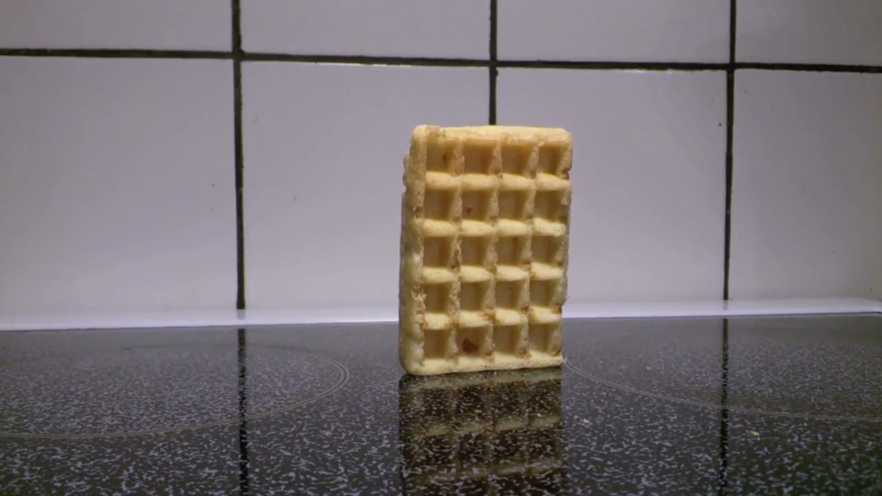 Waffle falling over with PASSION