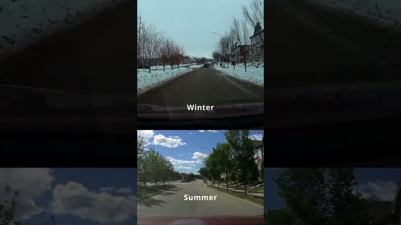In Winter and Summer - Secord Boulevard