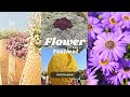 പൂക്കൾ കാണാൻ ഇഷ്ടമാണോ?? VASANT ULSAV VLOG💕🌺🌸##malayalam##spring##flowers##delhi##vlog