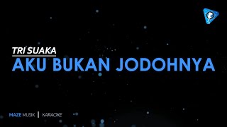 Tri Suaka - Aku Bukan Jodohnya (Karaoke)