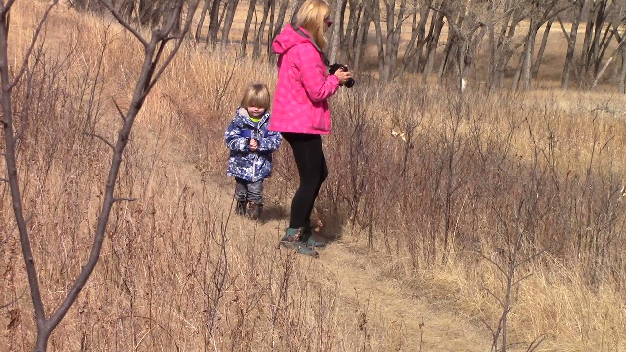North of Minot 2 Hikers 2021 Glacier NP Trip