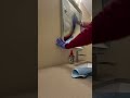 Mirror Cleaning Done Right | Mayfair Home Cleaning | York Region Ontario