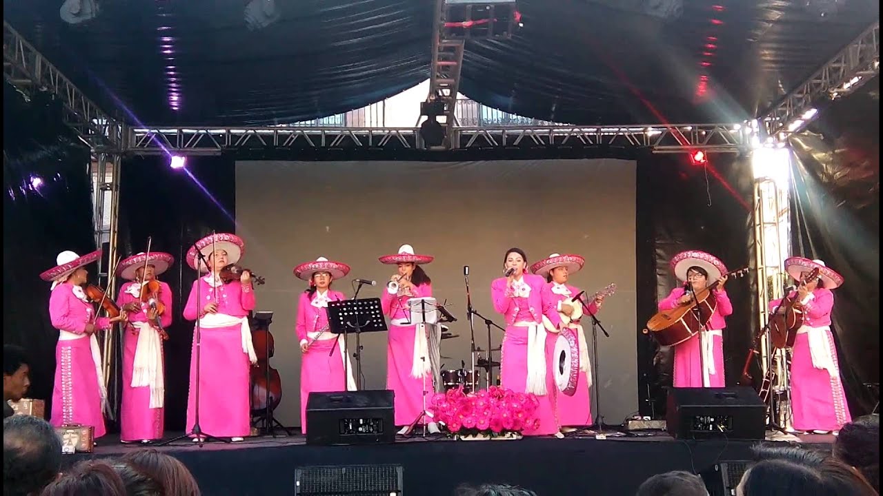 Caminos de Michoacán - Mariachi Rosa Mexicano - YouTube