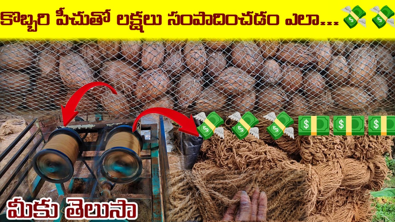Coconut Rope Making Machine How making the coconut coir rope💸కొబ్బరి పీచు నుండి తాడు ఇలా చేస్తారు 💰 ...