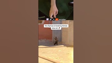 😈 #cs #cs2 #csgo #cs2clips #cs2highlights #cs2gameplay #cs2skins #cs2funny #cs2moments #gaming