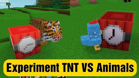 Experiment TNT Vs Animals - Block Craft 3d: Building Simulator Games for Free