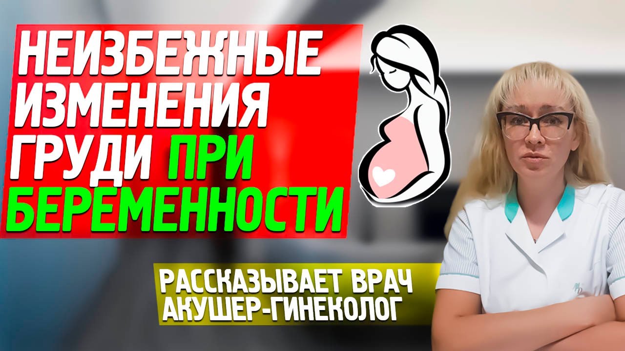 КАК МЕНЯЕТСЯ ГРУДЬ ПРИ БЕРЕМЕННОСТИ: что происходит на разных сроках?  Рассказывает акушер-гинеколог - YouTube