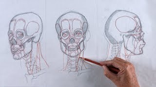 Trailer Reilly Method Head Drawing Unit 1 Anatomy With Mark Westermoe