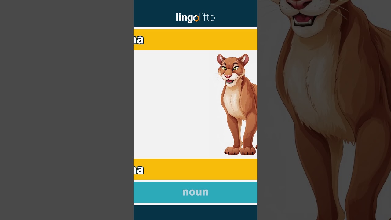 🇬🇧🇩🇰 puma - puma : learn English : Lad os l&aelig;re engelsk : vocabulary builder