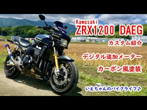 KAWASAKI ZRX1200daeg The manly black and gold color and the extra