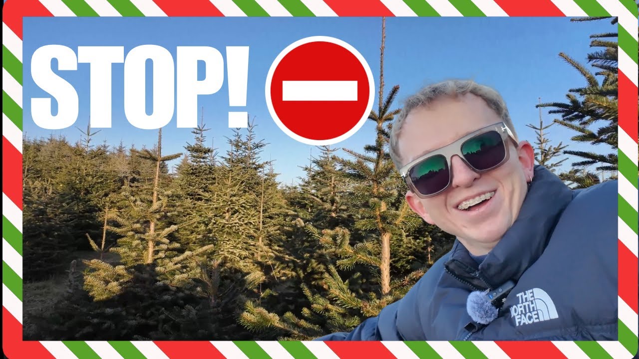 WYBIERAM POLSKĄ ŻYWĄ CHOINKĘ  - NIE KUPUJ W MARKECIE TO BŁĄD