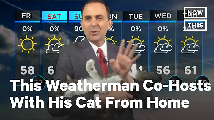 Weatherman Co-Hosts TV Segment with Cat Betty | No...