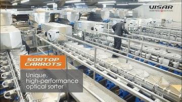 Visar Sorting Sàrl : Sortop Carrots - Carrots sorting line with 6 optical sorters 14 outputs