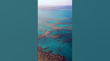 The Great Barrier Reef: Where Science, Culture, and Nature Connect [HISTORY - 2/2] #shorts