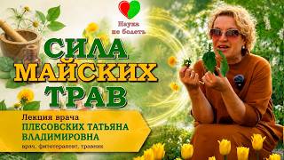 Почему КРАПИВА и ОДУВАНЧИК НЕ ПРИНОСЯТ ПОЛЬЗЫ? || КАК ПРАВИЛЬНО УПОТРЕБЛЯТЬ ДИКОРОСЫ В ПИЩУ!