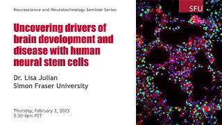 [Lisa Julian] Uncovering Drivers of Brain Development and Disease with Human Neural Stem Cells