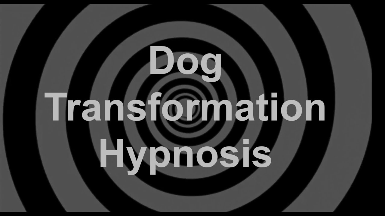 Dog Transformation Hypnosis YouTube