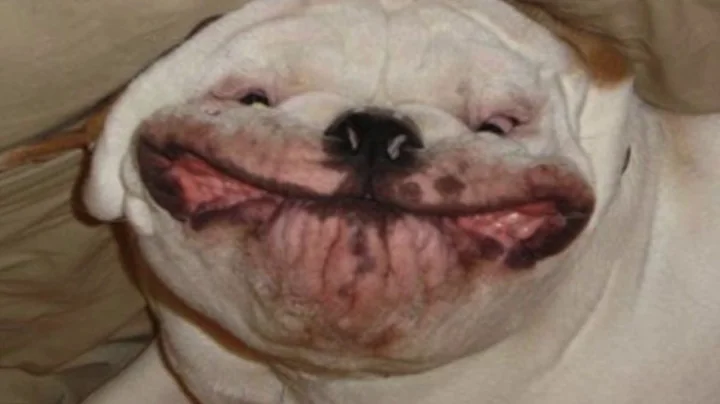 simran singh Win a year free- Twenty91 North