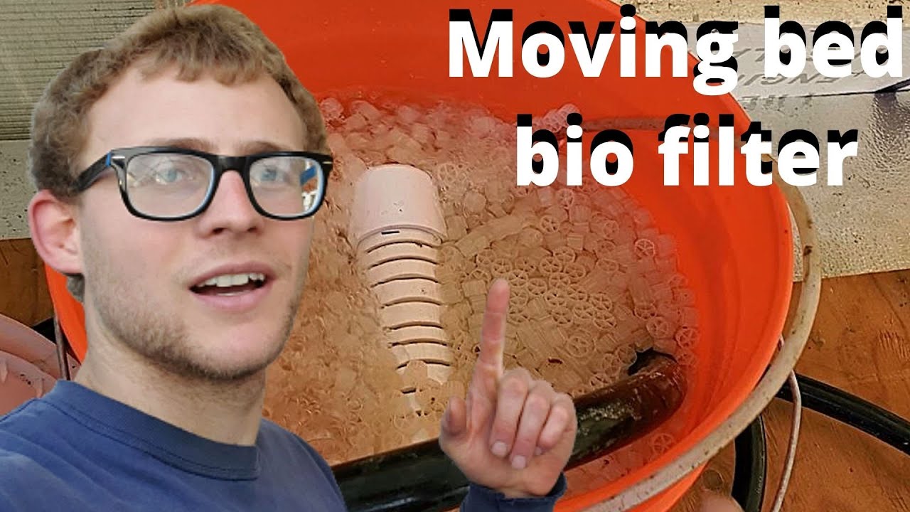 Super Simple DIY 5 gallon moving bed bio filter/ reactor (aquaponics filter, pond filter