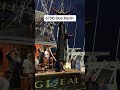 Giant Blue Marlin caught and weighed in Bermuda during the Bermuda Triple Crown Billfish Tournament