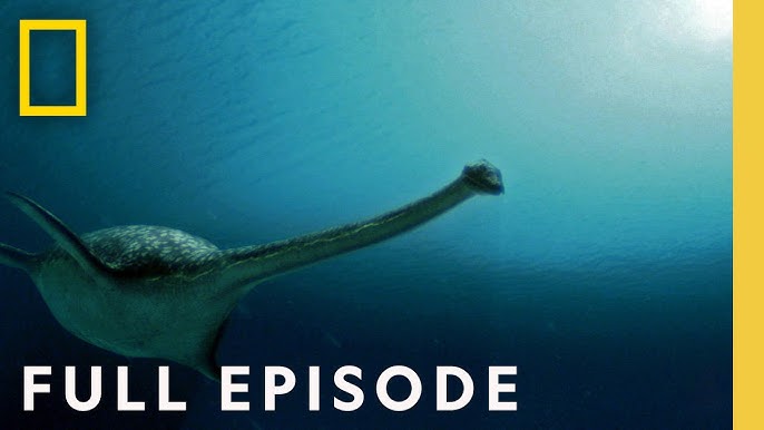 The Forgotten Photo That Might Prove Nessie Is Real – Peter Macnab's 1955  Mystery - YouTube