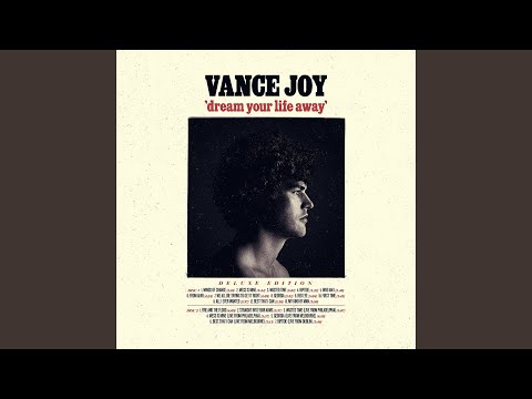 We All Die Trying to Get It Right - Vance Joy