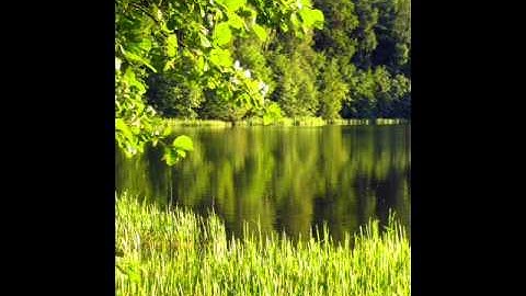 Thumbnail of Here I Am, Lord Daniel O' Donnell