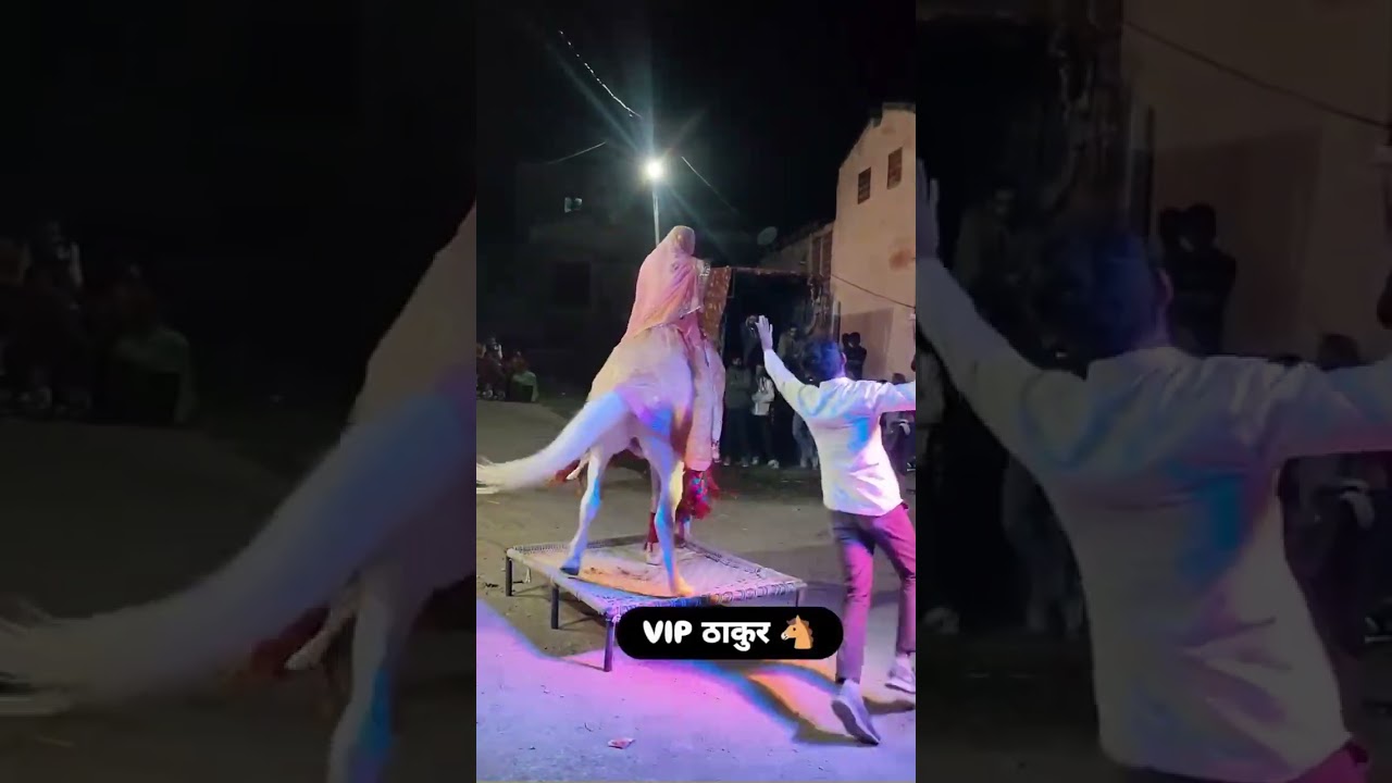 VIP horse VIP dance VIP road subscribe like ✨ 🐎