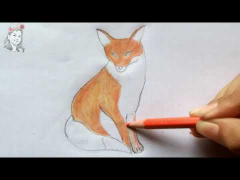 How to Draw a Fox Step by Step Easy (Fox Drawing Tutorial)