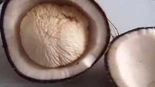 Masarap Daw Ang Tombong Luweeh