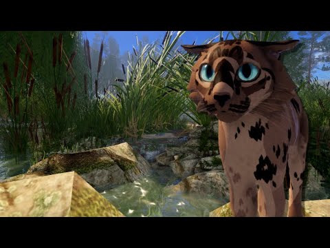 WC:LT RP