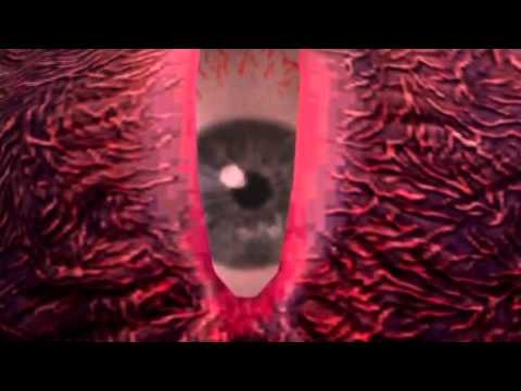 ｄの食卓２ ザ ムービー 12 13 Vsラスボス Youtube