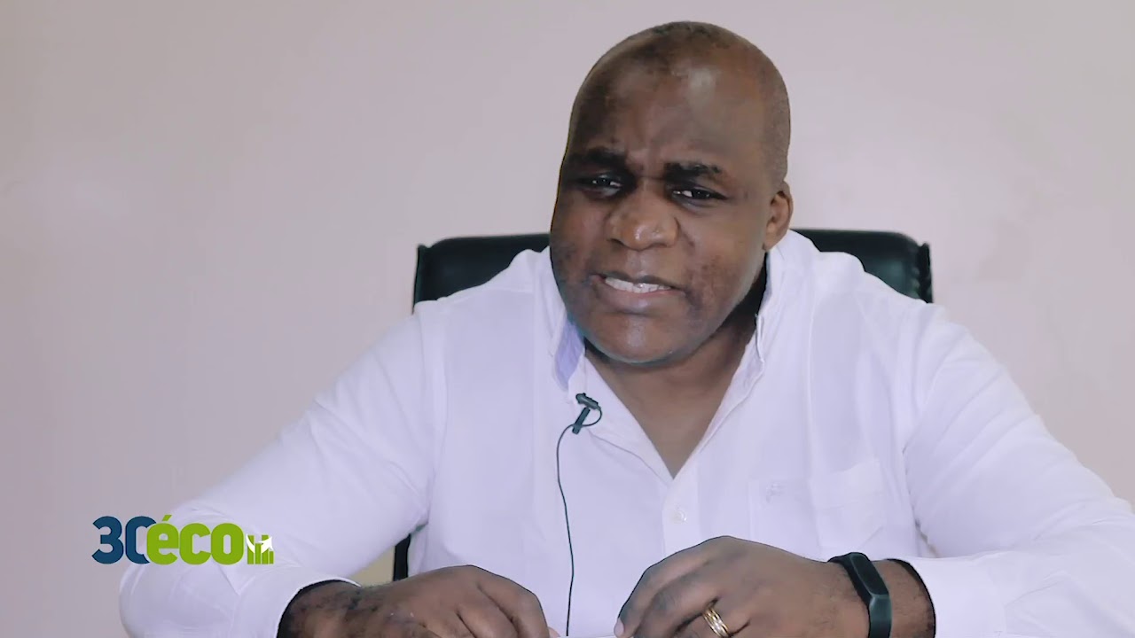 Echange avec AL KITENGE sur l'emploi en RDC - YouTube