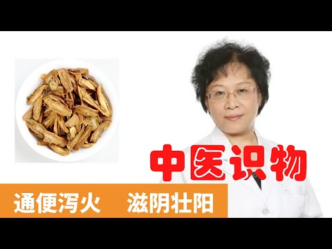 牛蒡茶的功效與作用【保健養生】生生不息