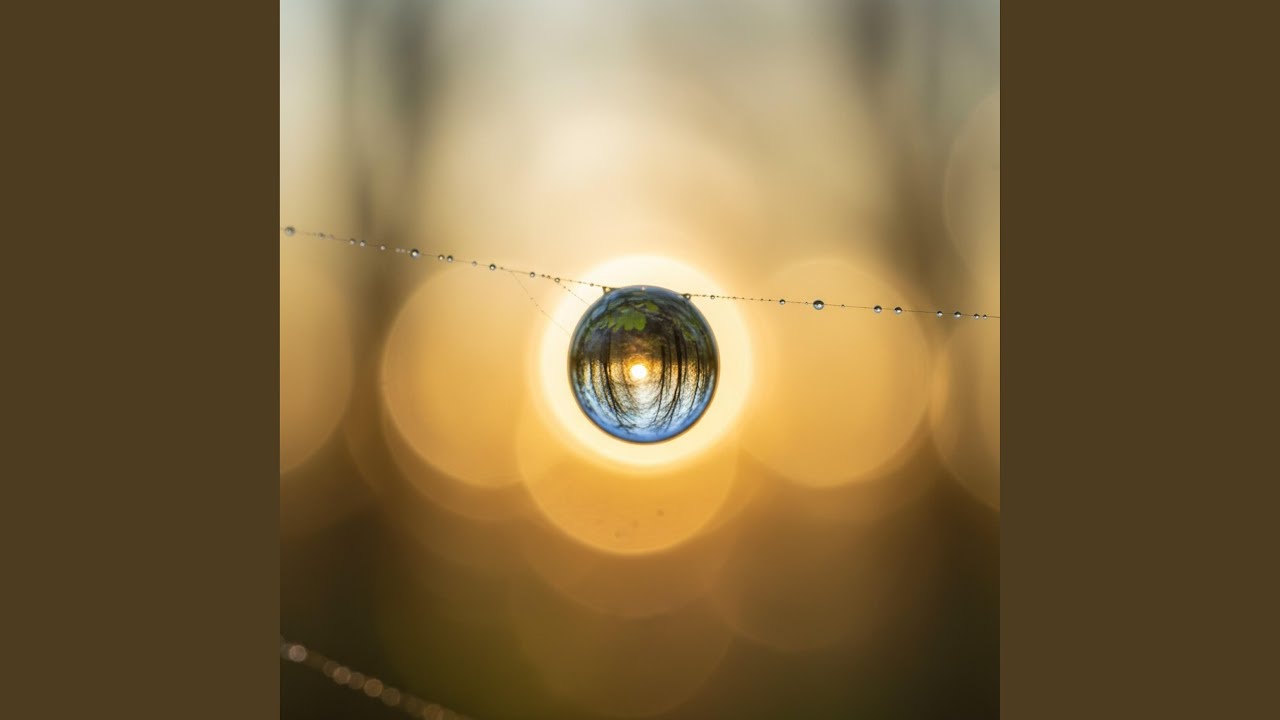 hiljaisuuden kultainen reuna vol. 1