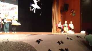 Selin 20140615