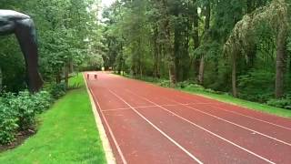 Celebrity Nike - Galen Rupp doing some 100s on the Michael Johnson Track Profile