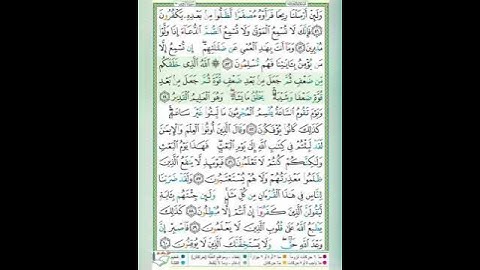 #سورة الروم#الآية ٥٤ #تلاوة الشيخ/أيمن سويد#قليل دائم خير